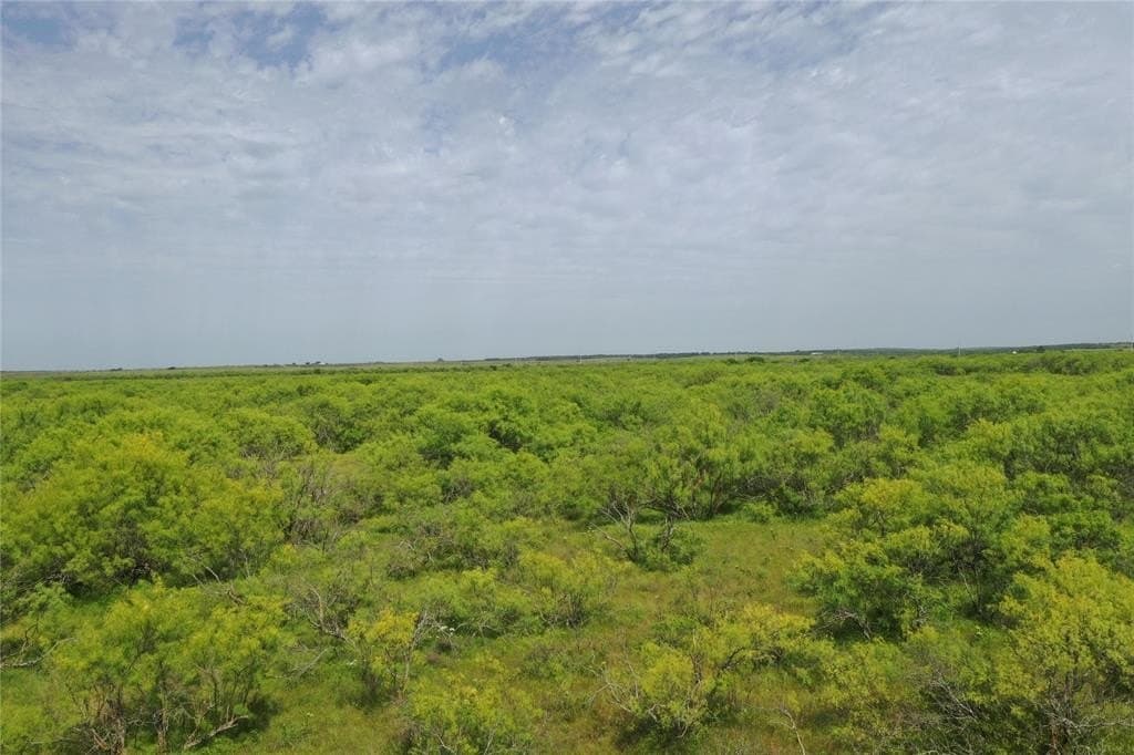 190.87 acres in Clay County - photo 6