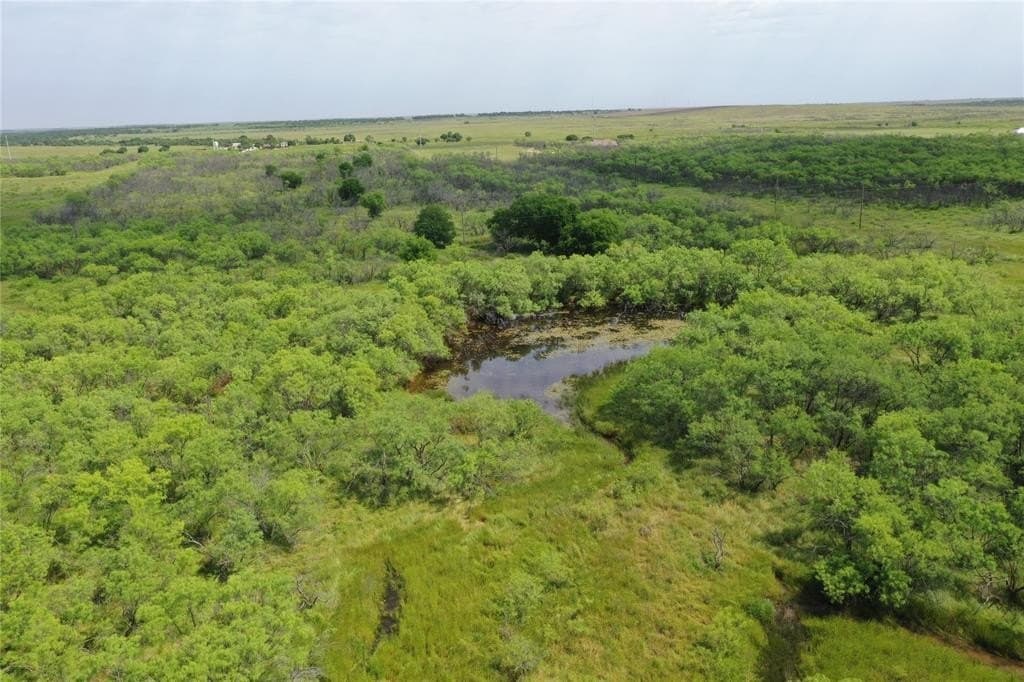 190.87 acres in Clay County - photo 11