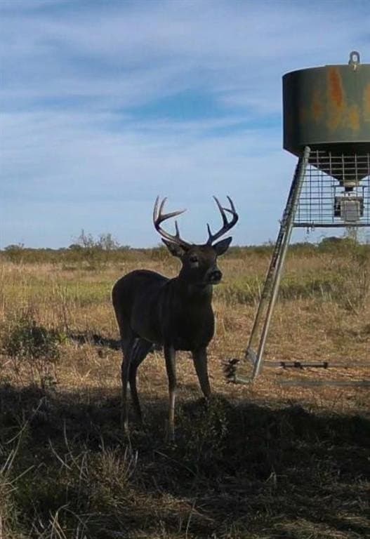190.87 acres in Clay County - photo 26