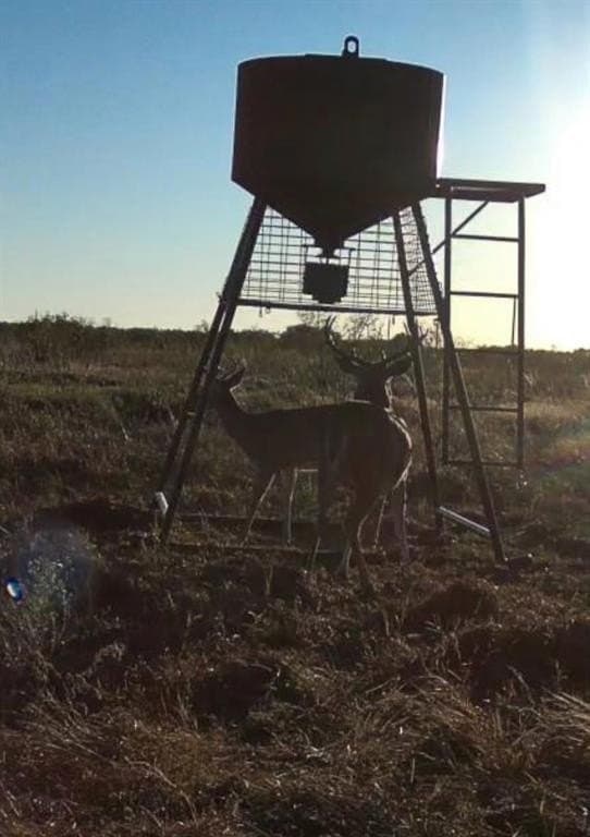 190.87 acres in Clay County - photo 25