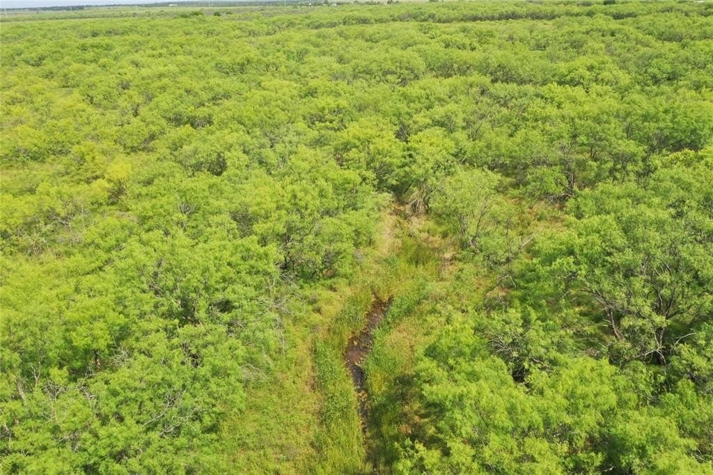 190.87 acres in Clay County - photo 8