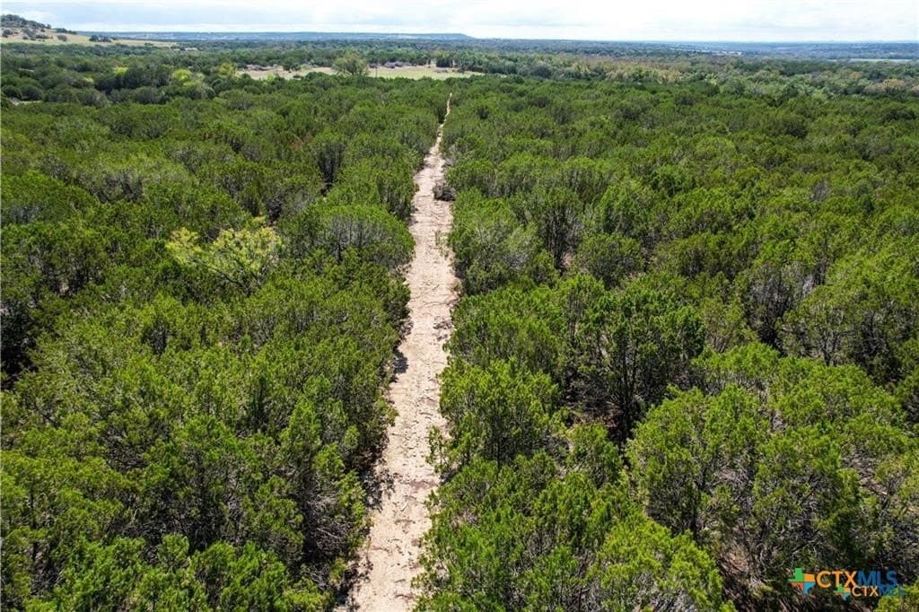 56.42 acres in Coryell County - photo 5