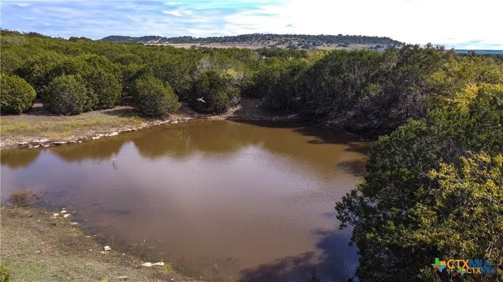 56.42 acres in Coryell County - photo 3