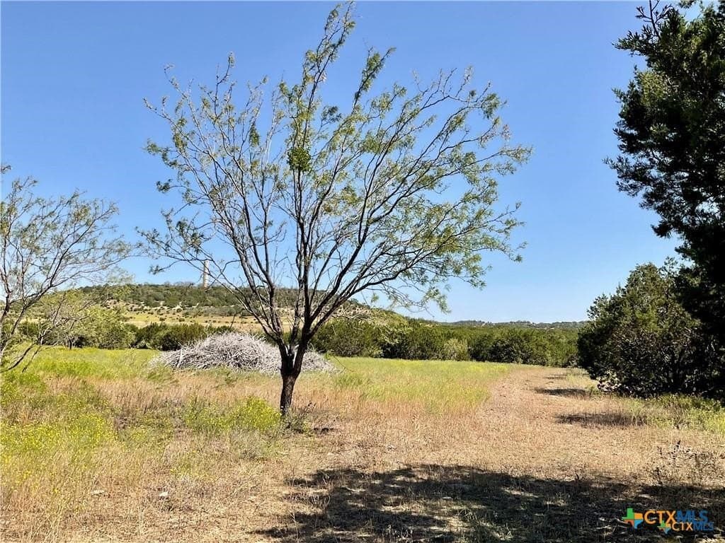 56.42 acres in Coryell County - photo 8