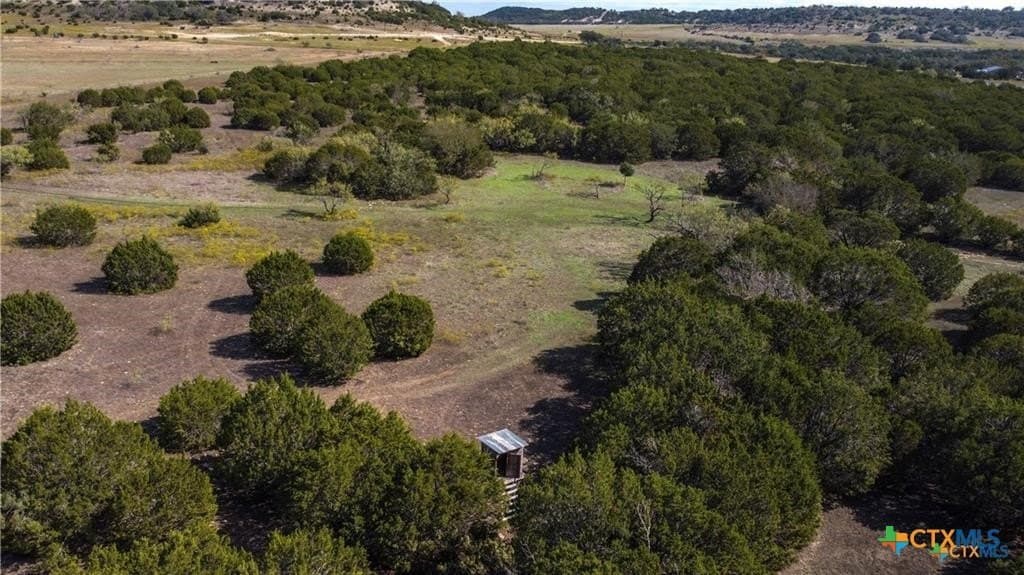 56.42 acres in Coryell County - photo 7