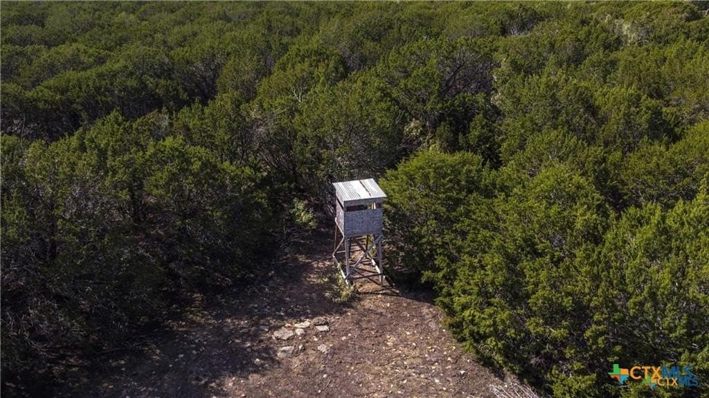 56.42 acres in Coryell County - photo 6