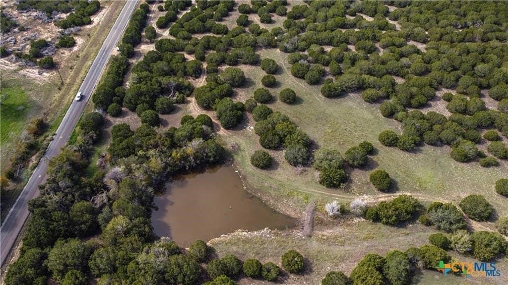 56.42 acres in Coryell County - photo 12