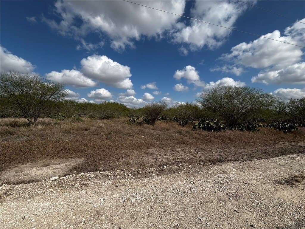 10.98 acres in Jim Wells County - photo 2