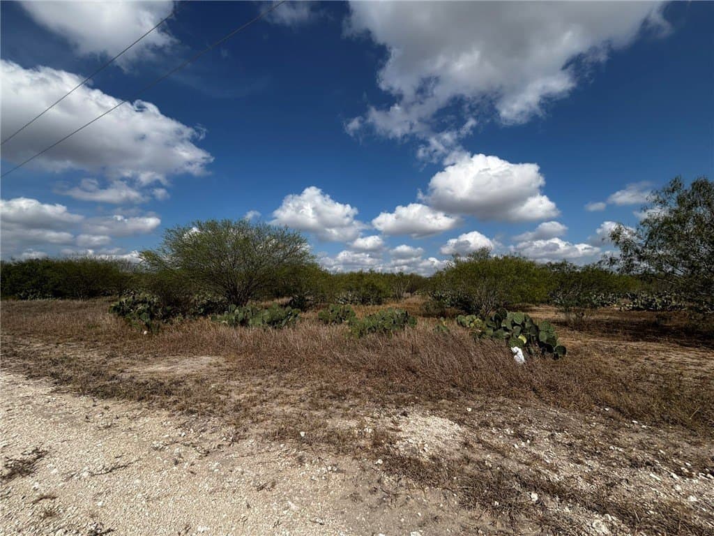 10.98 acres in Jim Wells County - photo 4
