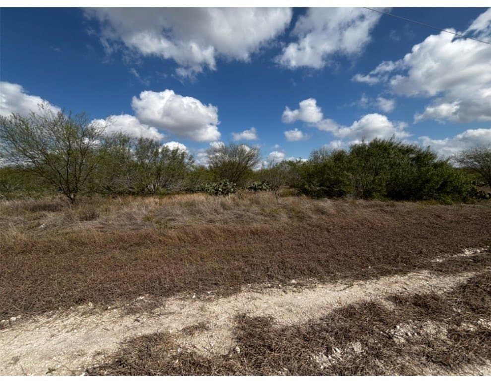 10.98 acres in Jim Wells County - photo 3
