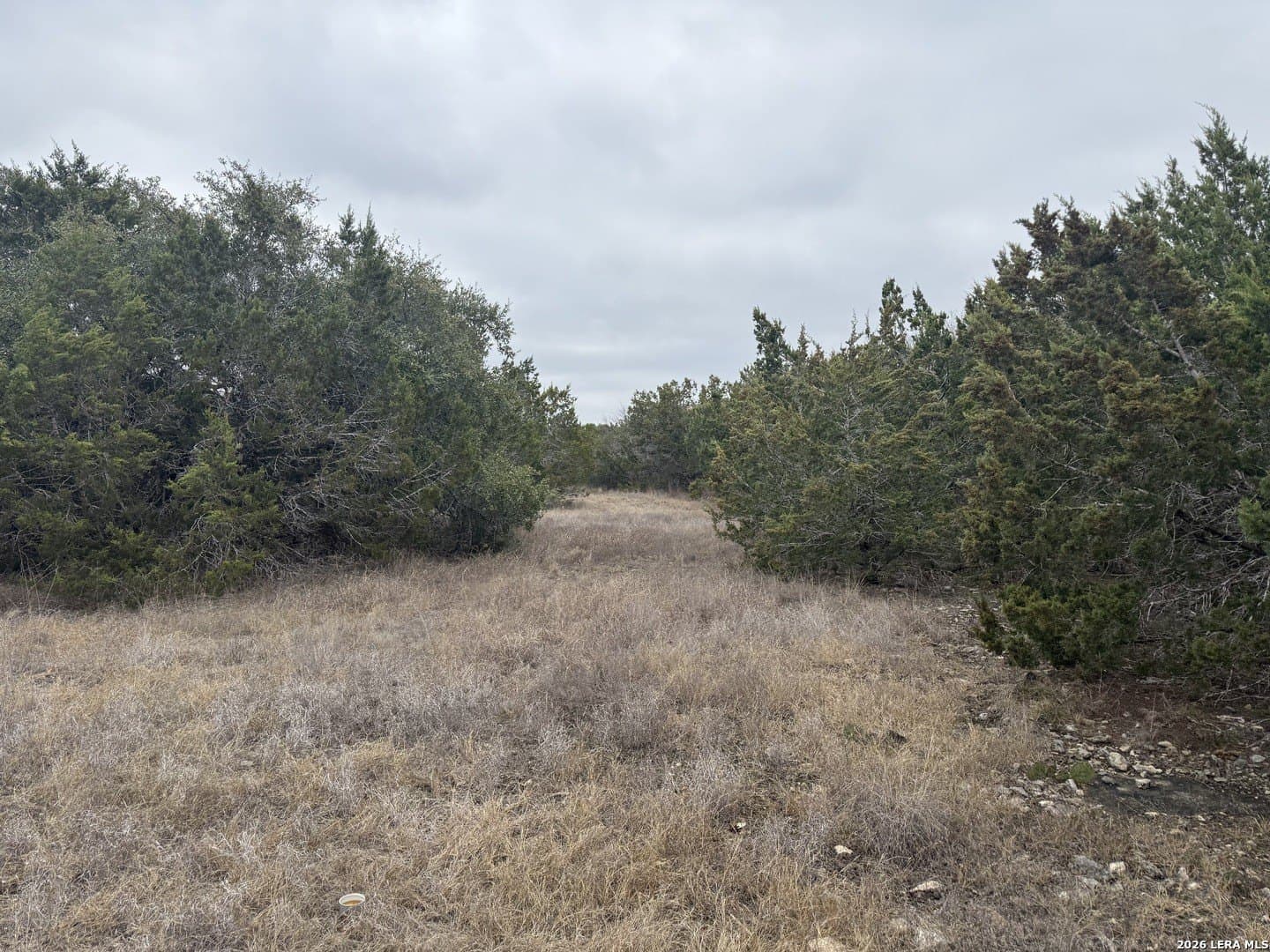 0.17 acres in Blanco County - photo 5