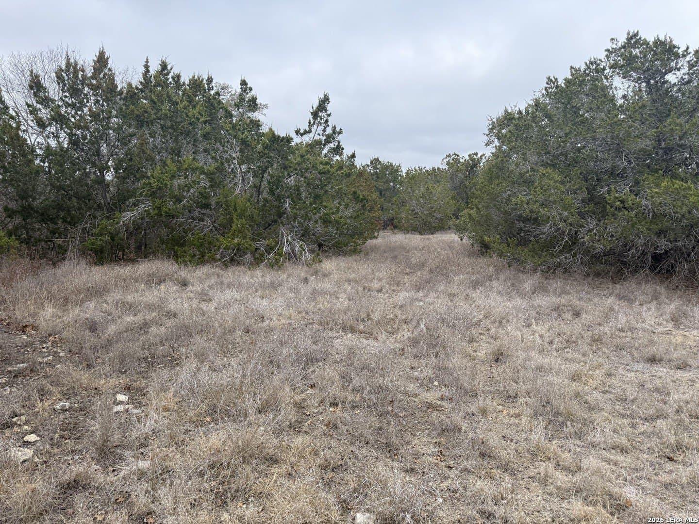 0.17 acres in Blanco County - photo 4