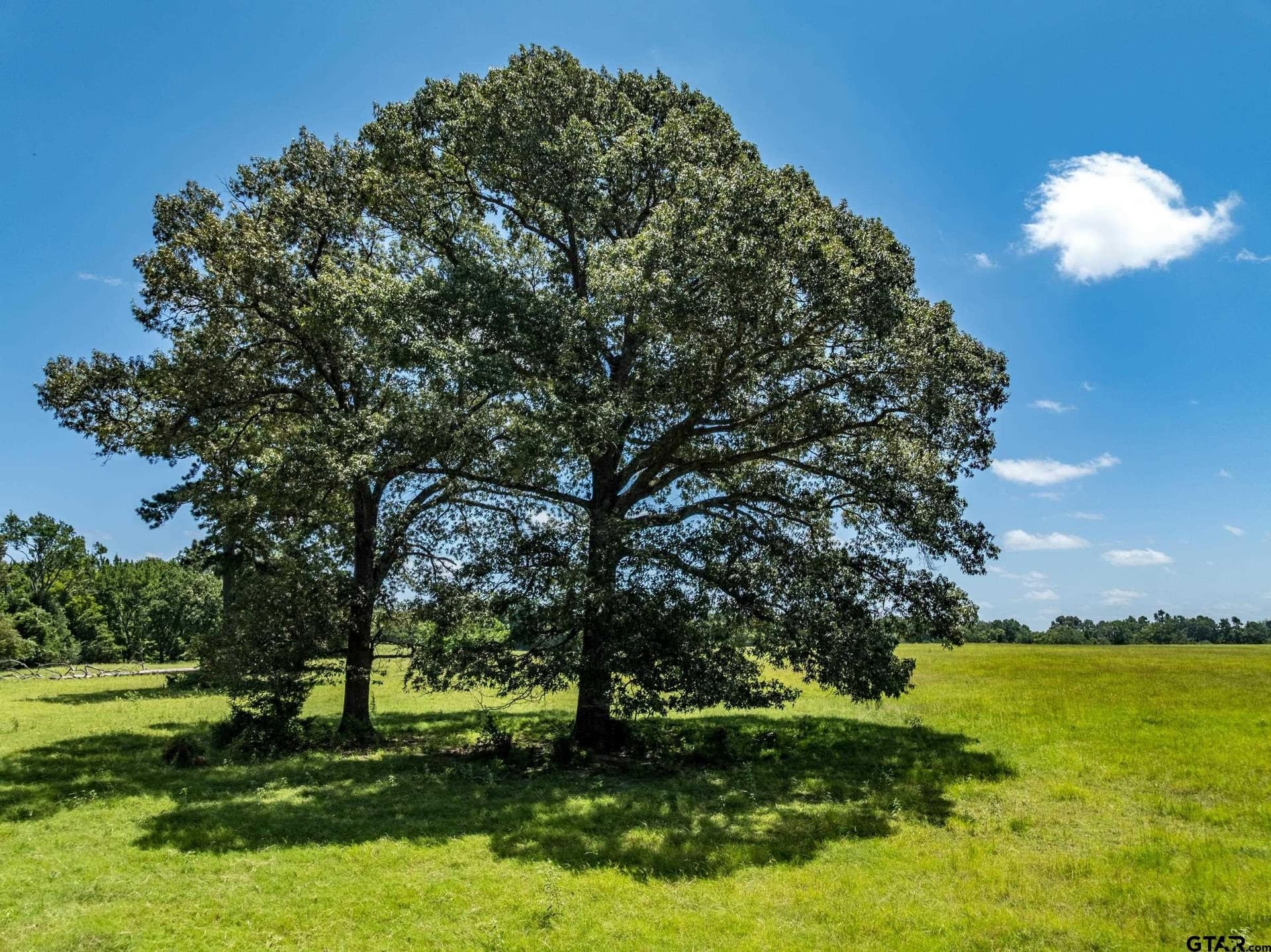 28.07 acres in Anderson County - photo 8