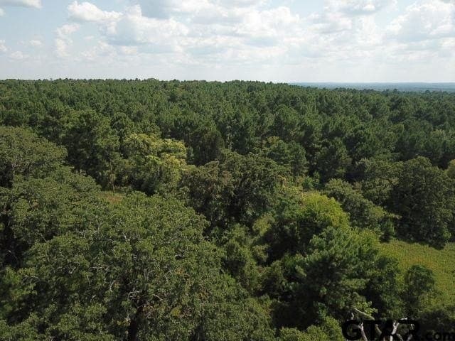 16.33 acres in Cherokee County - photo 5