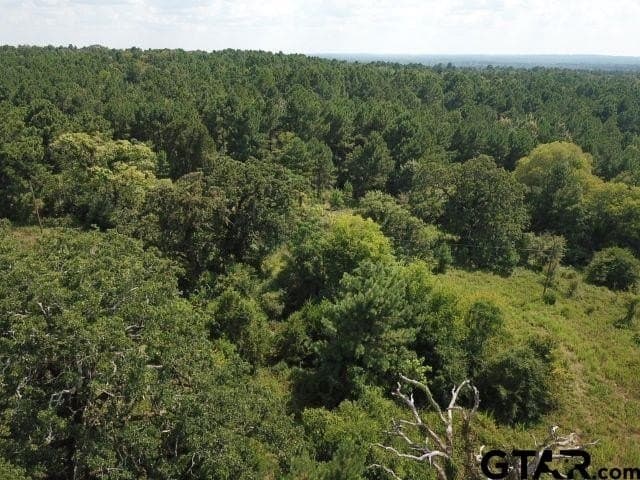 16.33 acres in Cherokee County - photo 3