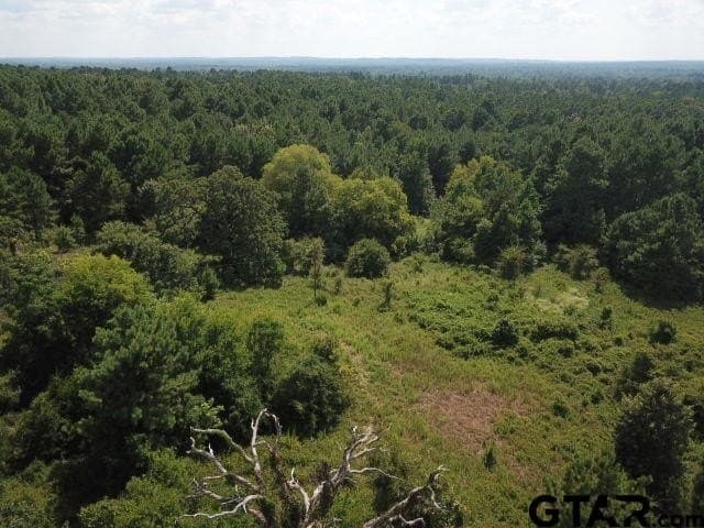 16.33 acres in Cherokee County - photo 2