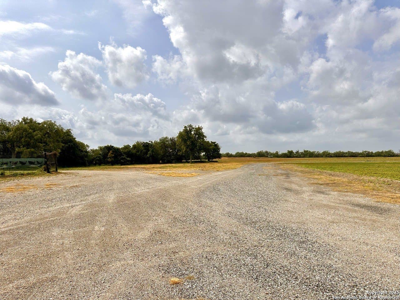 48.24 acres in Atascosa County - photo 5