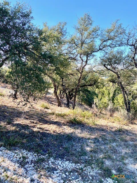 1.04 acres in Comal County - photo 2
