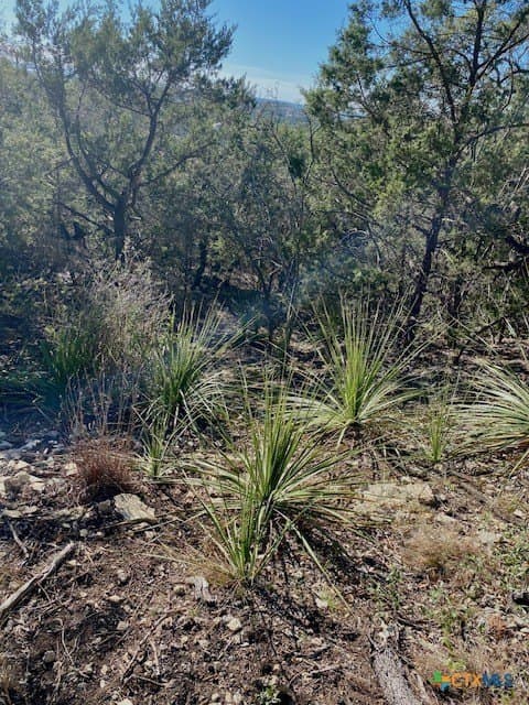 1.04 acres in Comal County - photo 4