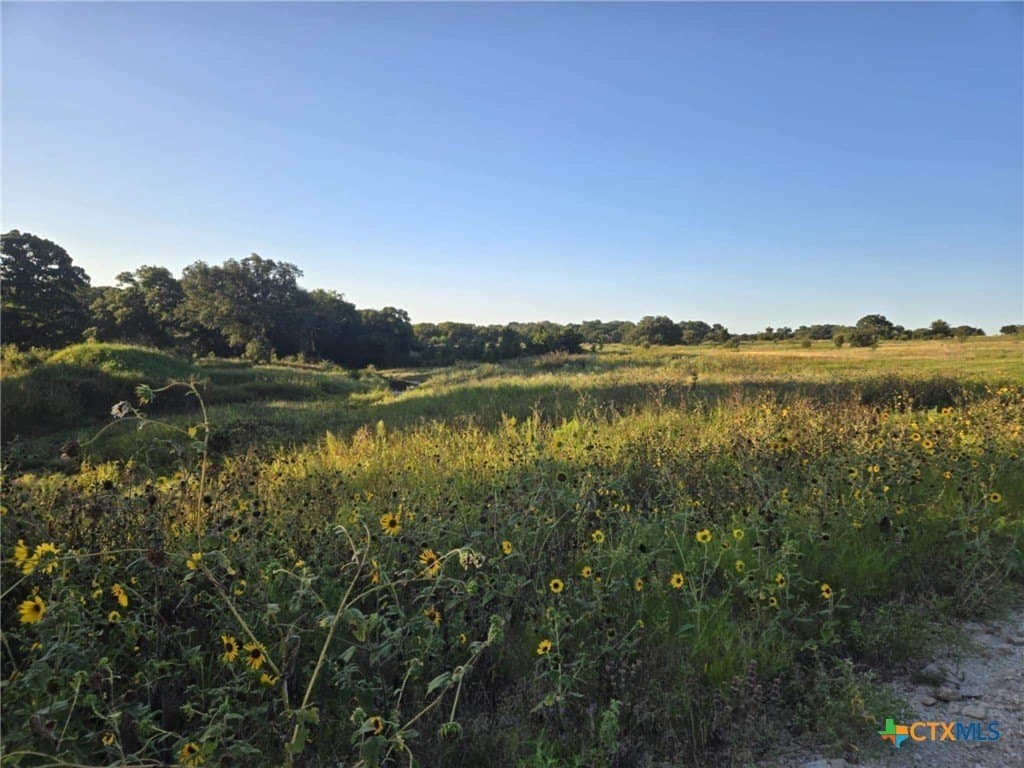 5.92 acres in Coryell County - photo 2