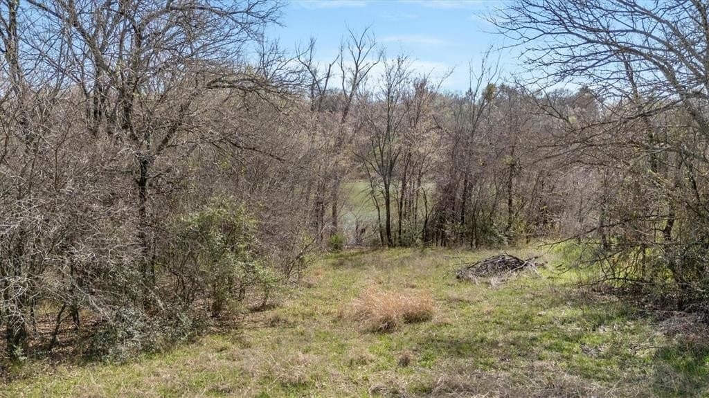 0.39 acres in Denton County - photo 2