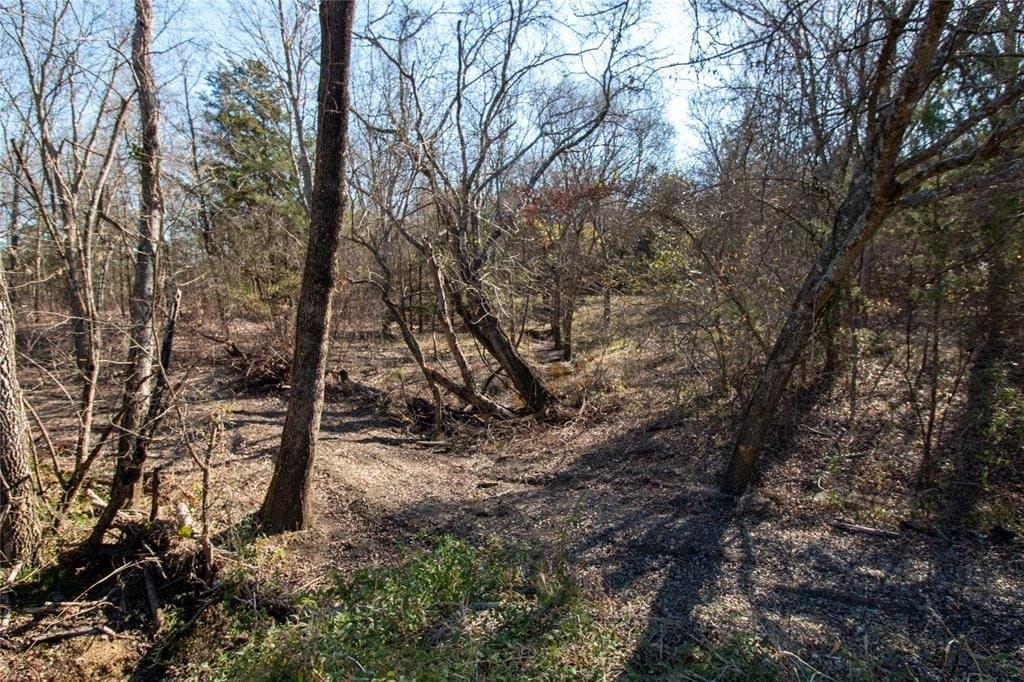 1.32 acres in Fannin County - photo 6
