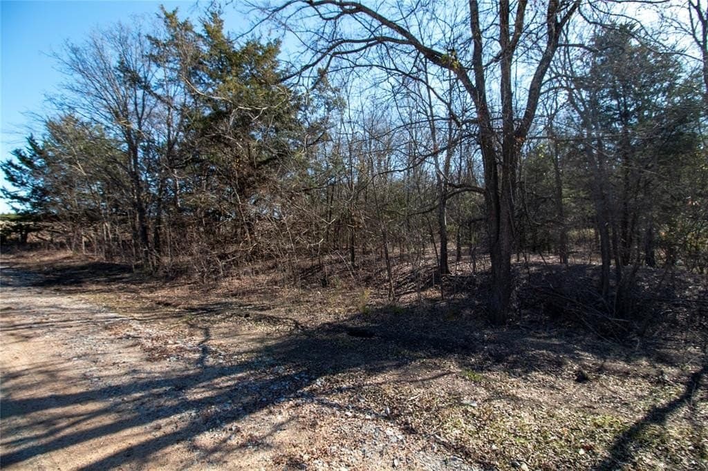 1.32 acres in Fannin County - photo 11