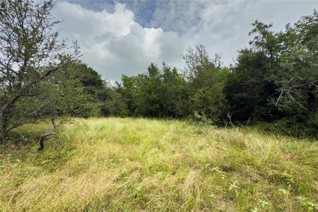 2.72 acres in Falls County - photo 13