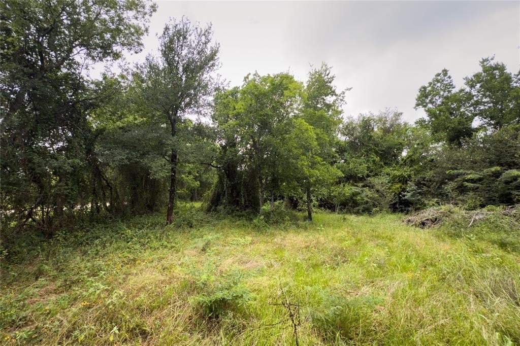 2.72 acres in Falls County - photo 14
