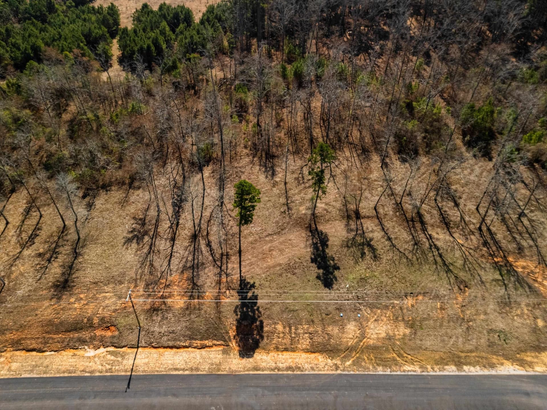1.02 acres in Texas County - photo 9