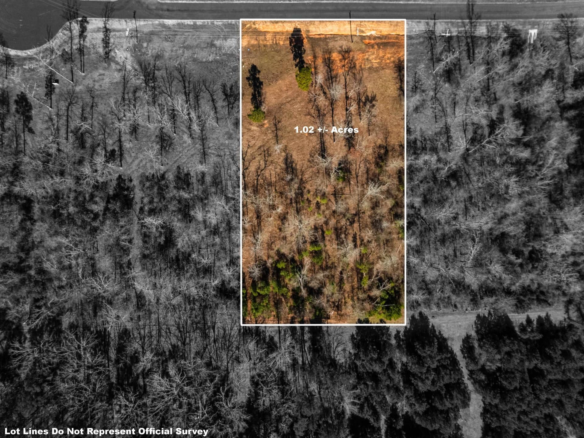 1.02 acres in Texas County - photo 5