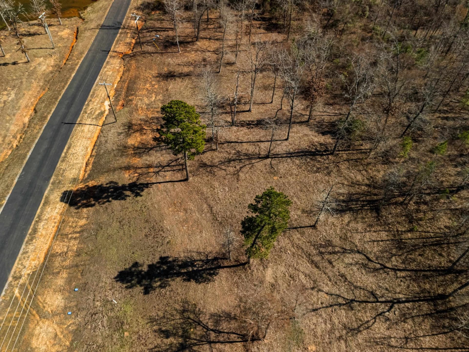 1.02 acres in Texas County - photo 8