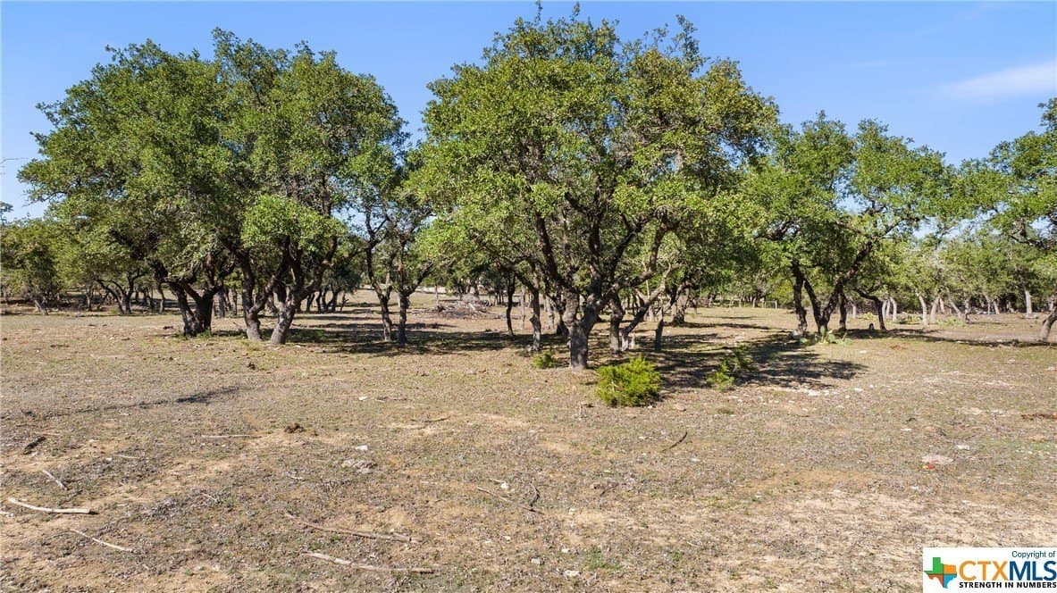 72.15 acres in Hays County - photo 4