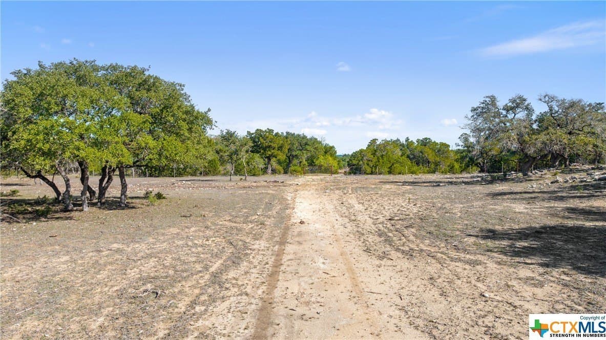 72.15 acres in Hays County - photo 3
