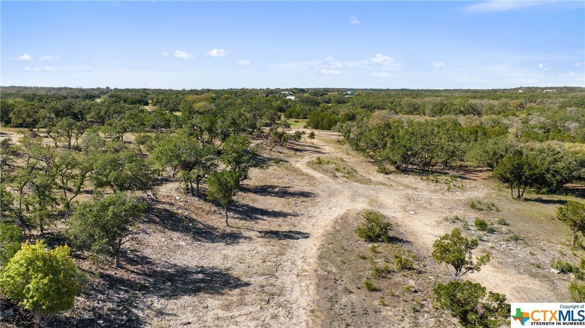 72.15 acres in Hays County - photo 2