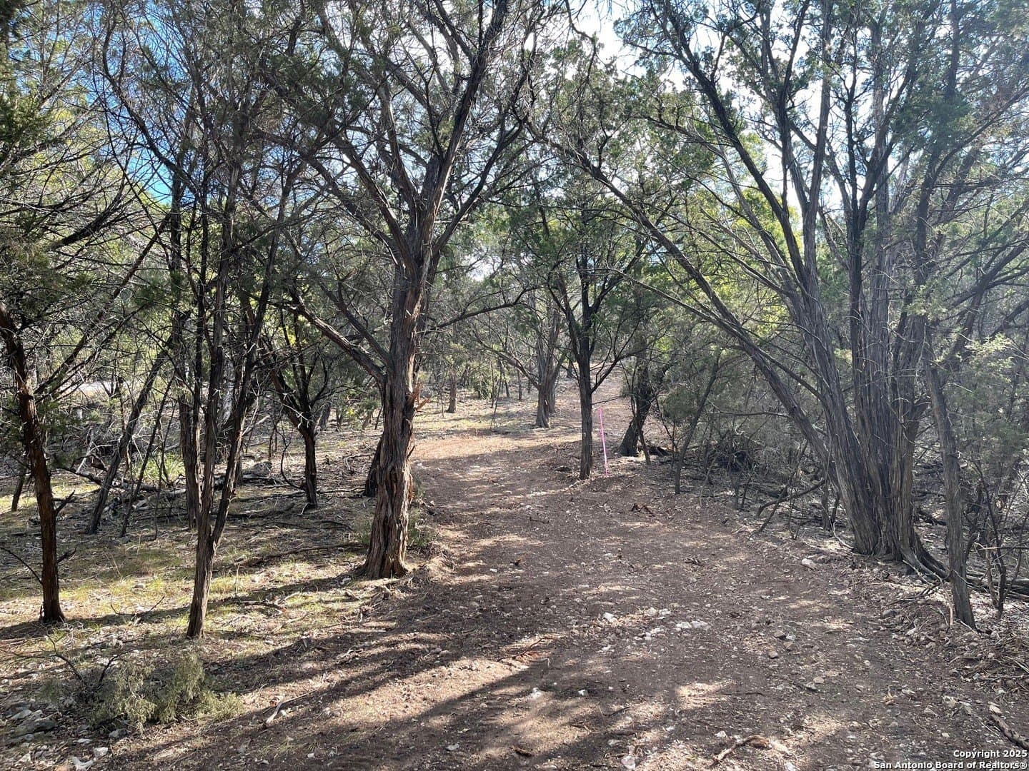 2.79 acres in Bandera County - photo 3