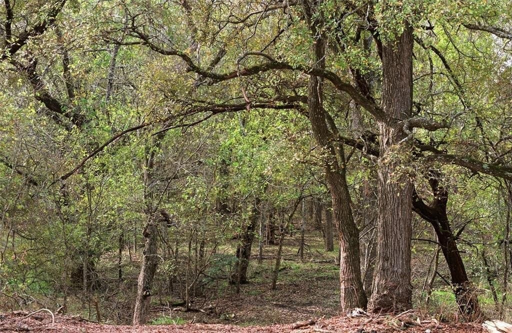 15.41 acres in Hill County - photo 3