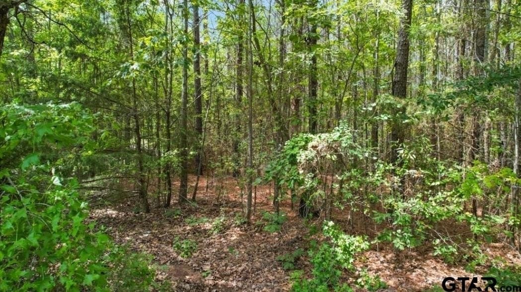 10 acres in Morris County - photo 2