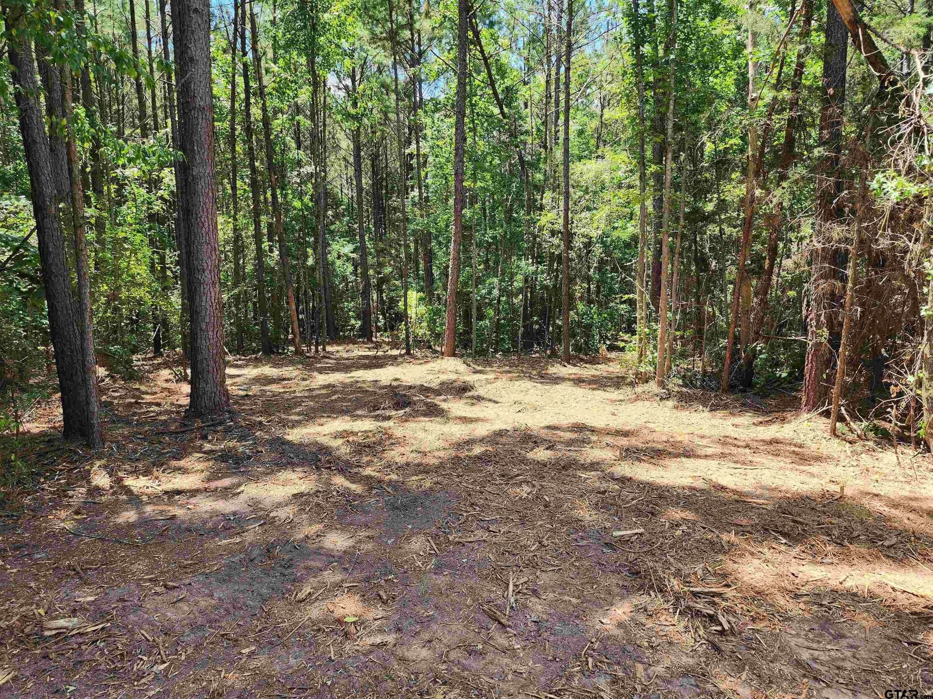 10 acres in Morris County - photo 3