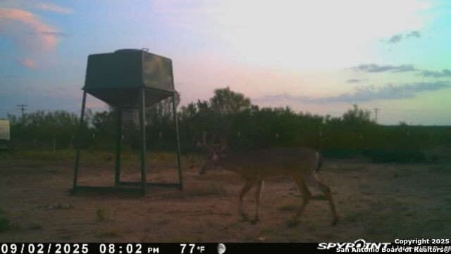 20 acres in Duval County - photo 31