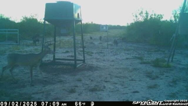 20 acres in Duval County - photo 28