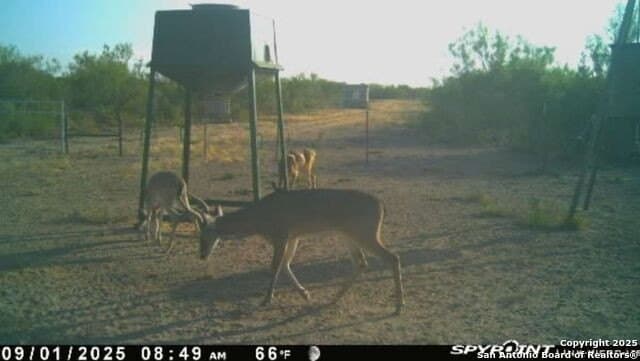 20 acres in Duval County - photo 27