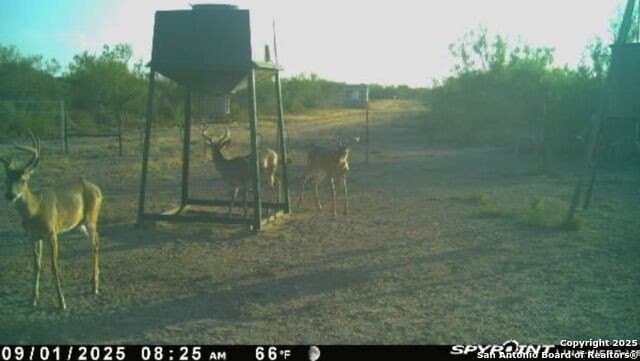 20 acres in Duval County - photo 17