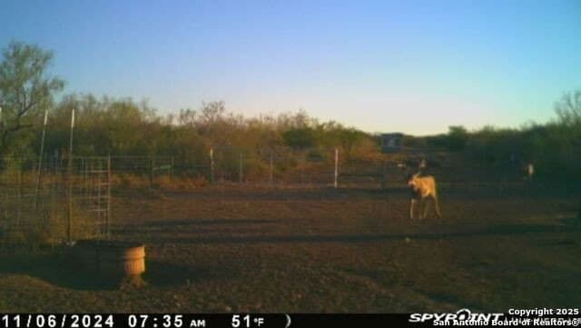 20 acres in Duval County - photo 24