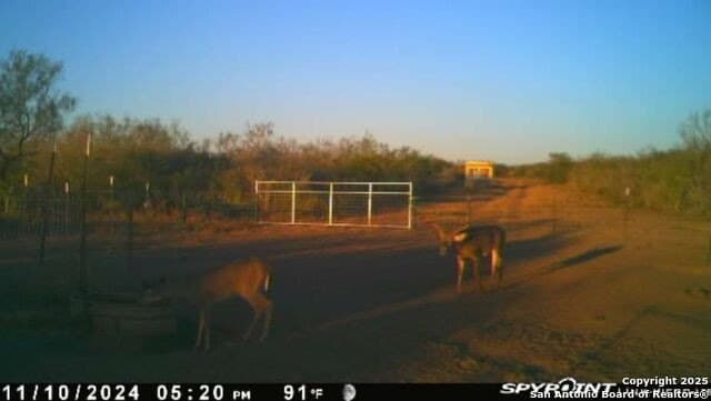 20 acres in Duval County - photo 25