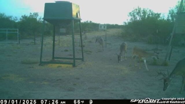 20 acres in Duval County - photo 16