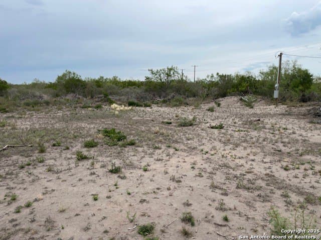 20 acres in Duval County - photo 20