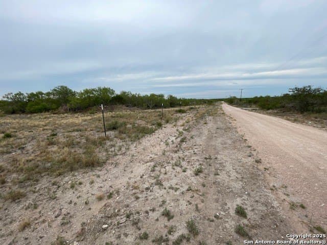 20 acres in Duval County - photo 4