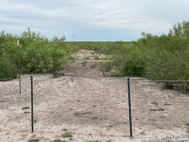 20 acres in Duval County - photo 19
