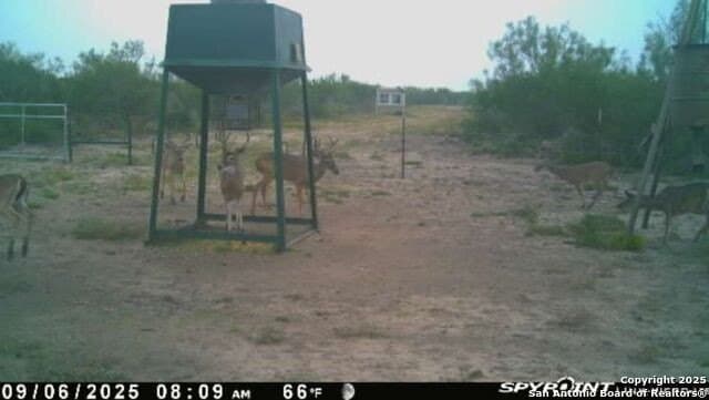 20 acres in Duval County - photo 2